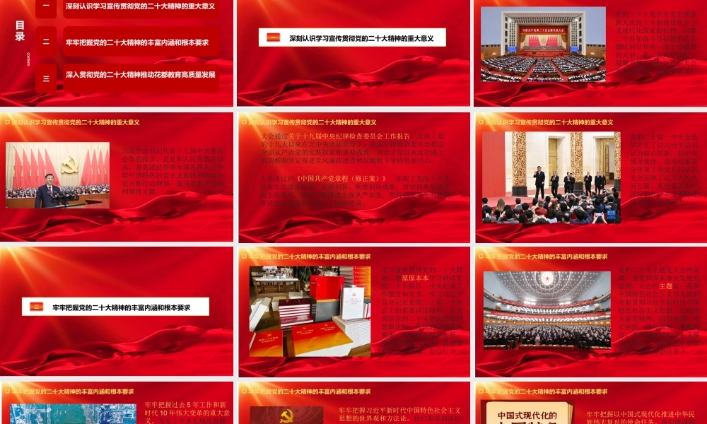 学习贯彻大会精神党课.pptx