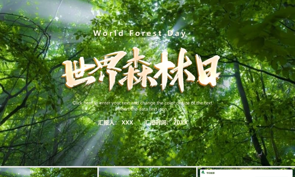 世界森林日PPT保护森林资源PPT课件（带内容）.pptx
