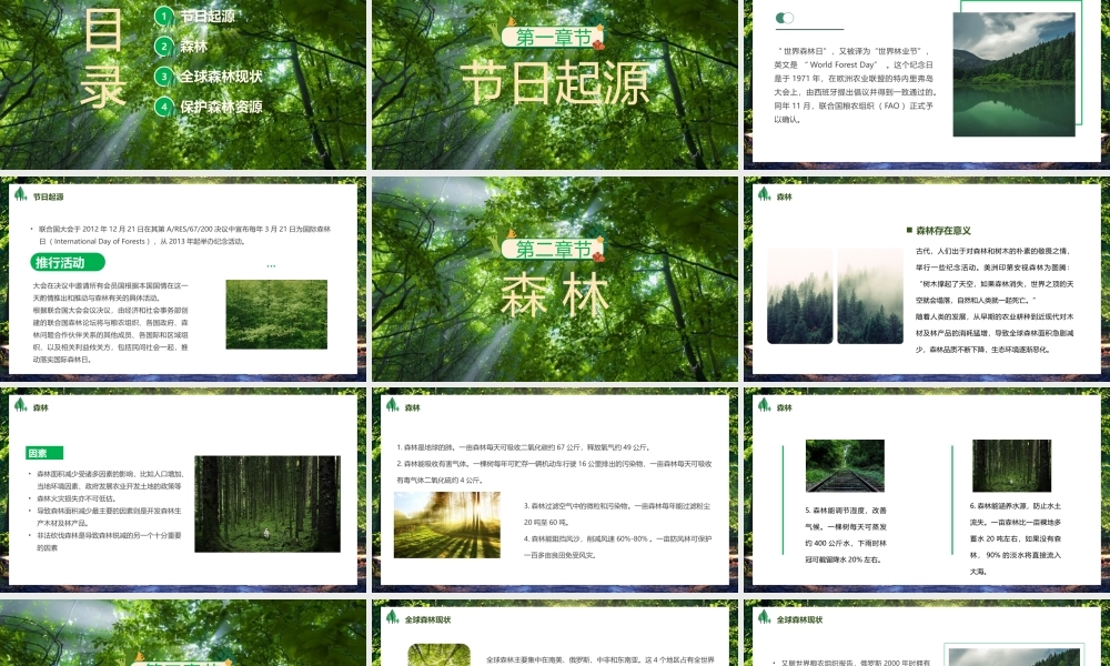 世界森林日PPT保护森林资源PPT课件（带内容）.pptx