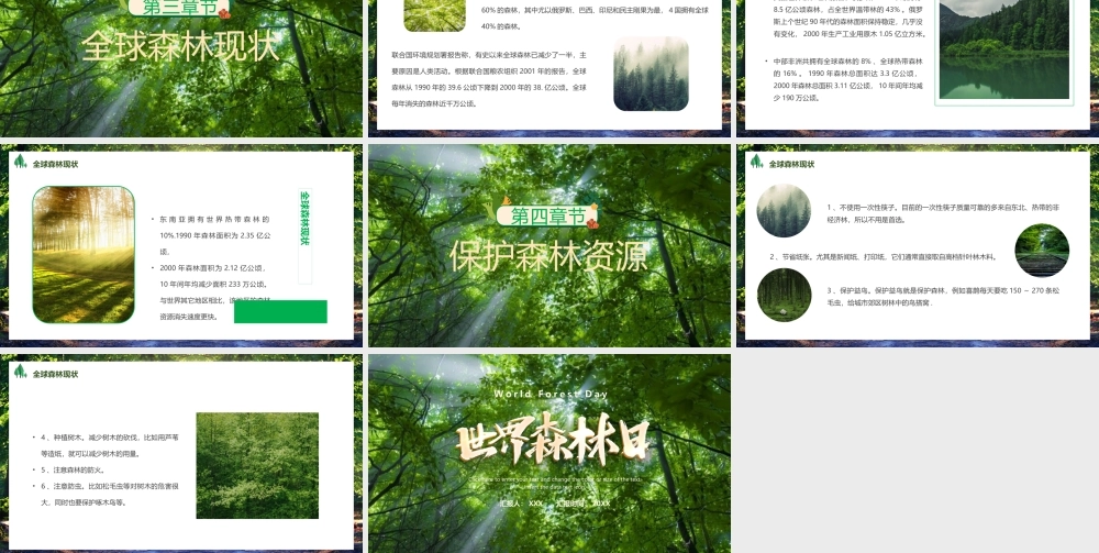 世界森林日PPT保护森林资源PPT课件（带内容）.pptx