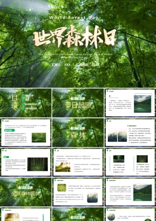 世界森林日PPT保护森林资源PPT课件（带内容）.pptx