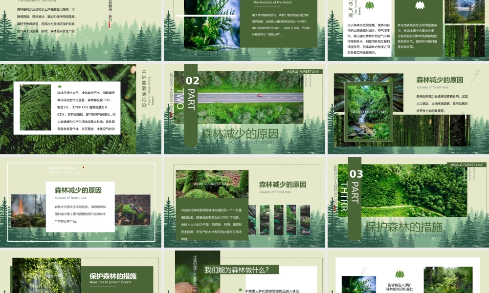 世界森林日保护森林PPT让我们为了大自然出一份力PPT课件（带内容）.pptx