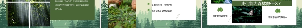世界森林日保护森林PPT让我们为了大自然出一份力PPT课件（带内容）.pptx