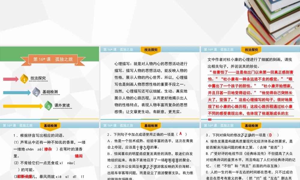 部编人教初中语文名师公开课同课异构创新获奖教学设计课件第16课　孤独之旅习题课件（共22张PPT）.pptx