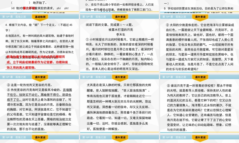 部编人教初中语文名师公开课同课异构创新获奖教学设计课件第16课　孤独之旅习题课件（共22张PPT）.pptx