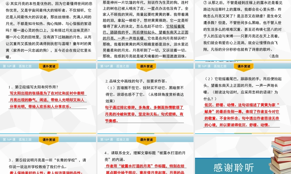 部编人教初中语文名师公开课同课异构创新获奖教学设计课件第16课　孤独之旅习题课件（共22张PPT）.pptx