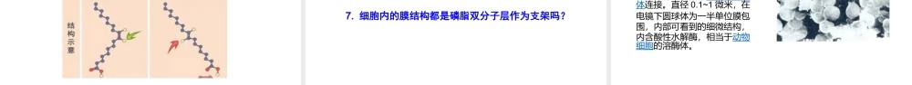 2023届高三生物复习讲座.pptx
