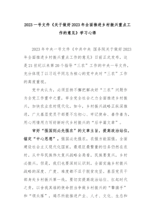 2023一号文件《关于做好2023年全面推进乡村振兴重点工作的意见》学习心得3篇.docx