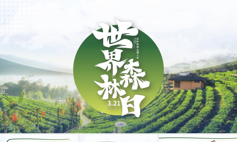 世界森林日PPT保护森林造福人类PPT课件（带内容）.pptx