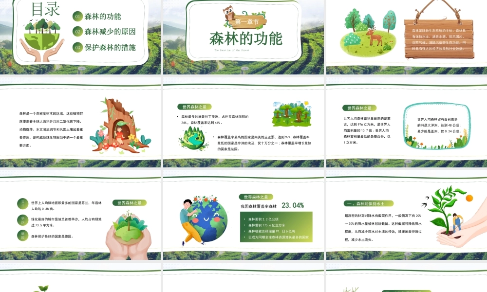 世界森林日PPT保护森林造福人类PPT课件（带内容）.pptx
