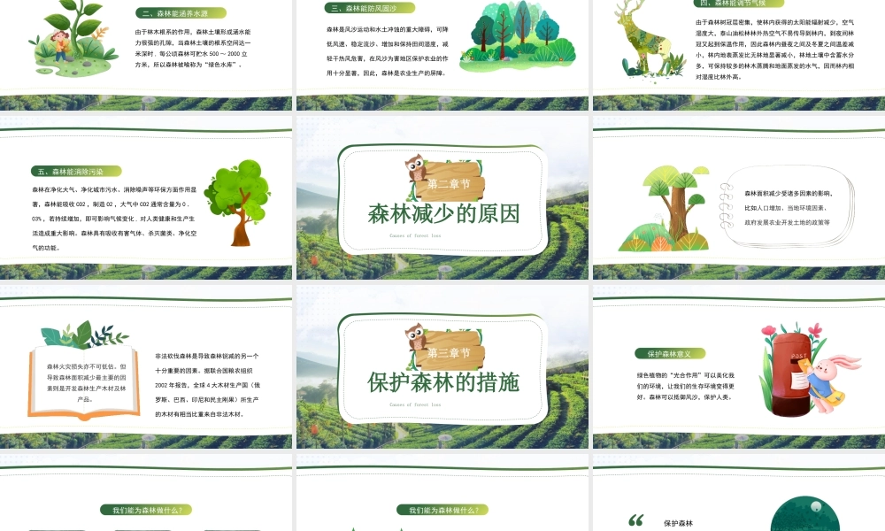 世界森林日PPT保护森林造福人类PPT课件（带内容）.pptx