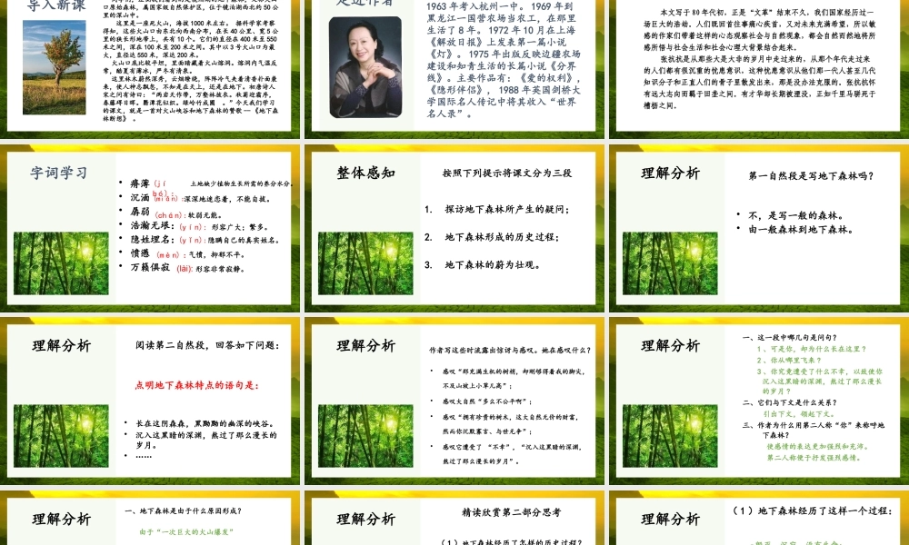 地下森林断想课件PPT模板.pptx