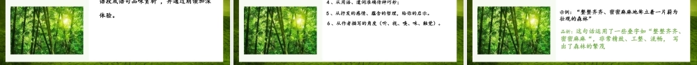 地下森林断想课件PPT模板.pptx