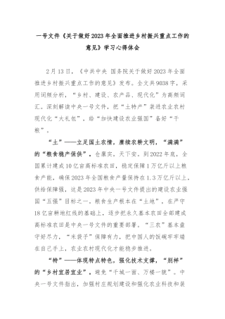一号文件《关于做好2023年全面推进乡村振兴重点工作的意见》学习心得体会3篇.docx