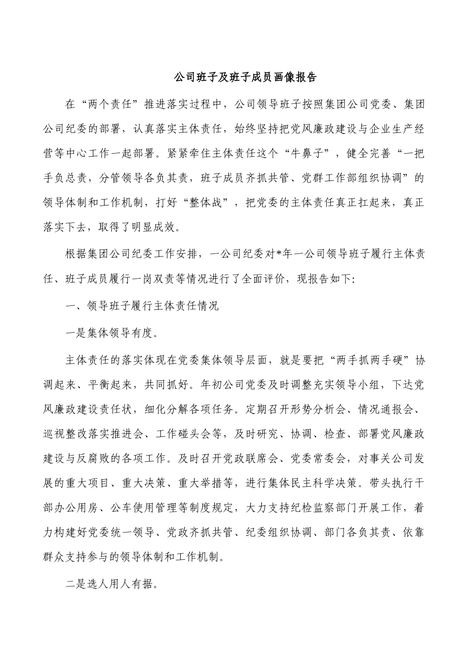 公司班子及班子成员画像报告.docx_第1页