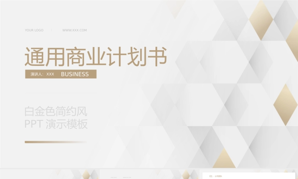 白金色简约风商业计划书PPT模板.pptx