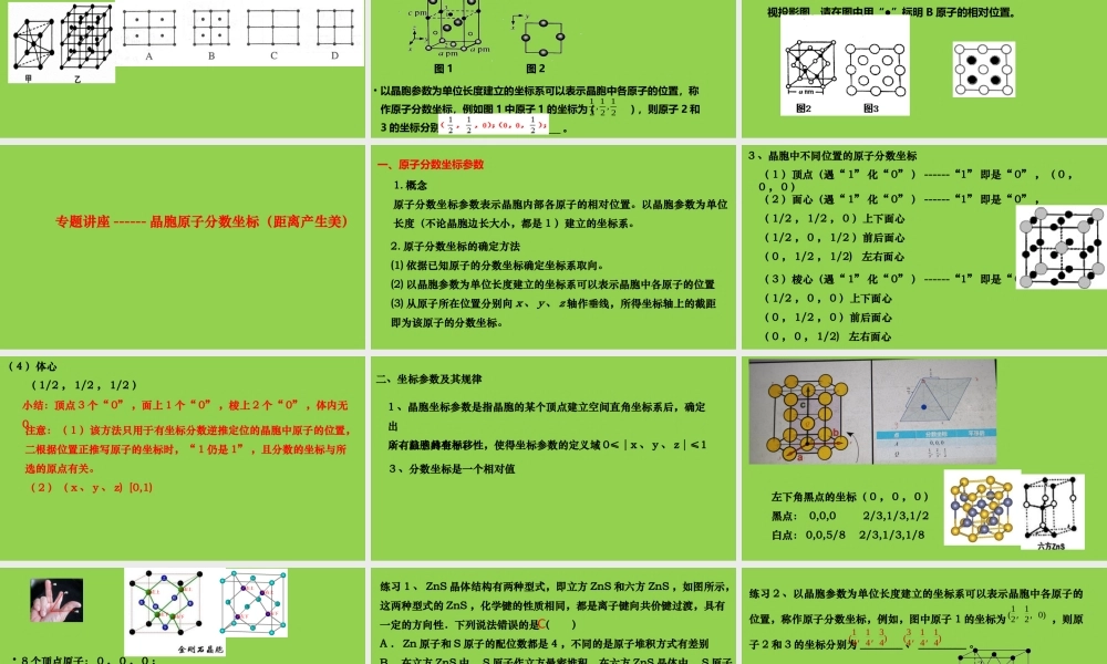2023年高考化学专题复习《晶胞投影图分析与晶胞原子分数坐标》.pptx