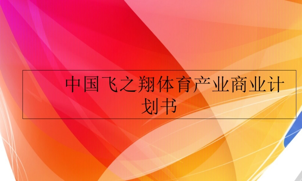 中国飞之翔体育产业商业计划书.ppt