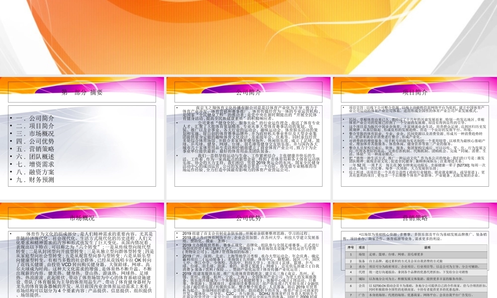 中国飞之翔体育产业商业计划书.ppt