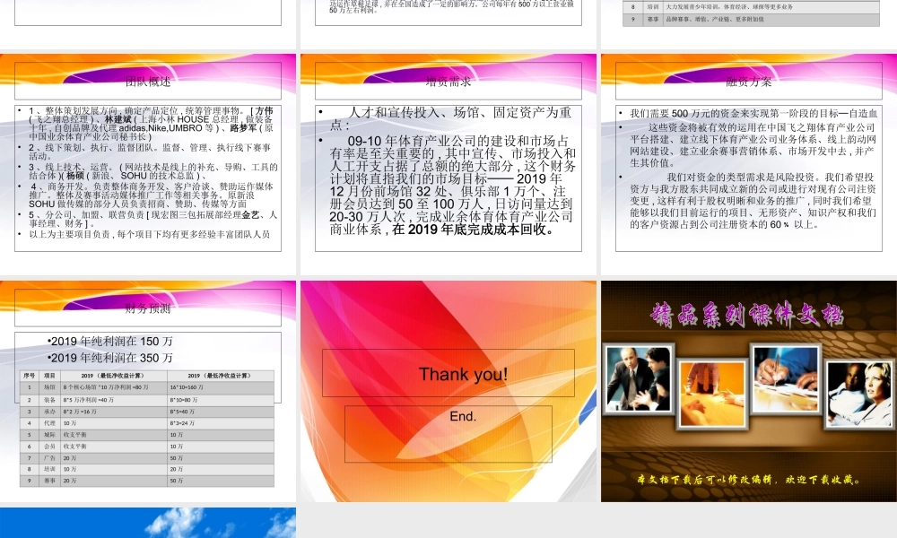 中国飞之翔体育产业商业计划书.ppt