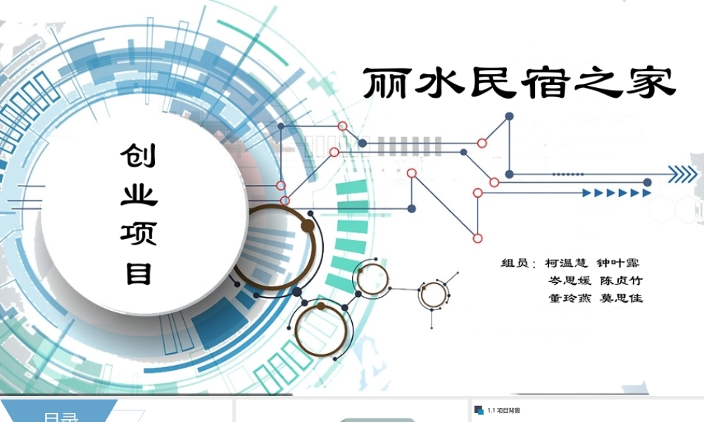 丽水民宿之家创业项目.pptx