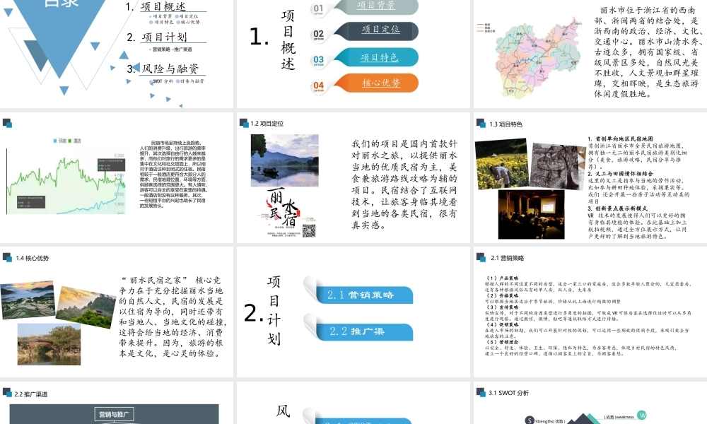 丽水民宿之家创业项目.pptx
