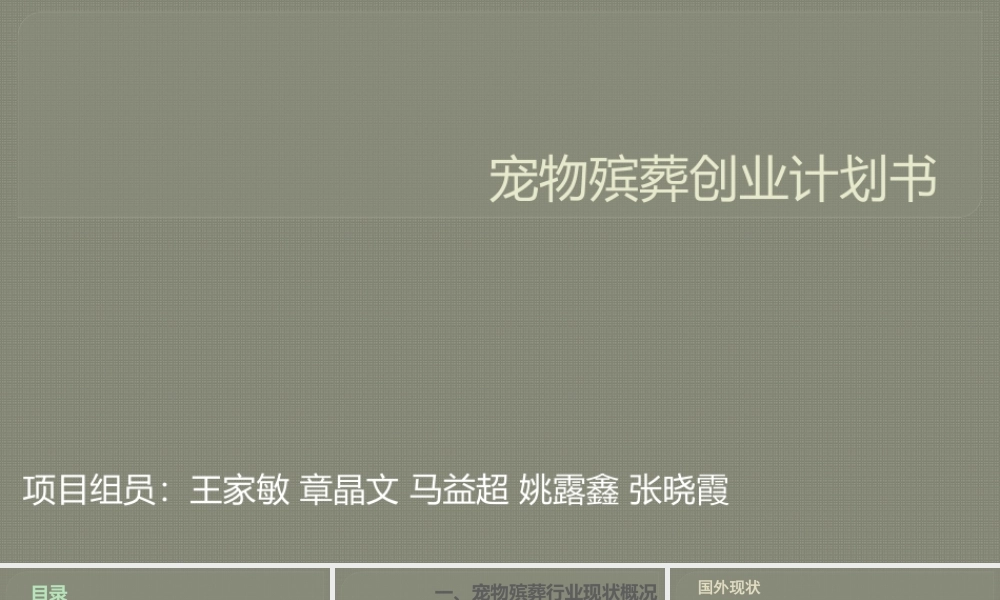 宠物殡葬创业计划书.pptx