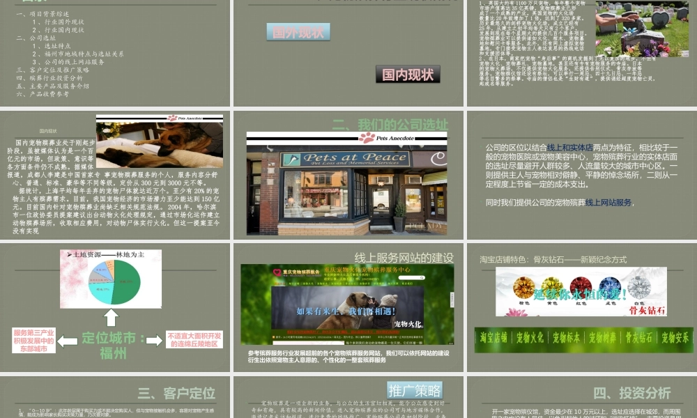 宠物殡葬创业计划书.pptx