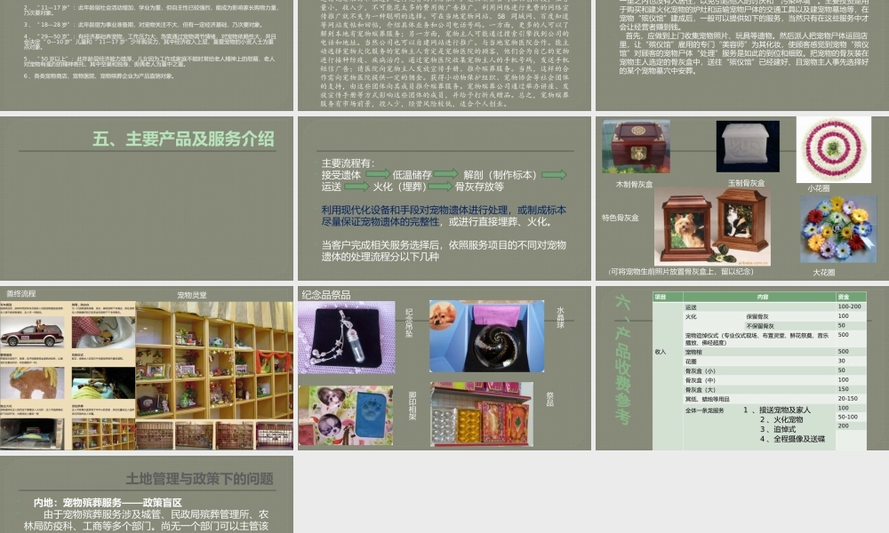 宠物殡葬创业计划书.pptx