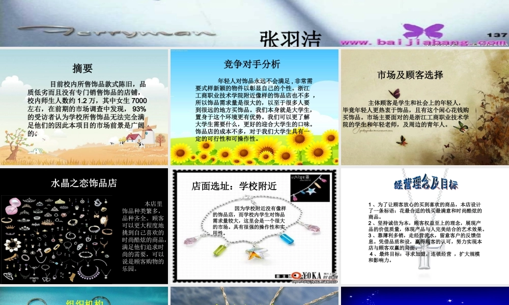 水晶饰品店创业策划书.ppt