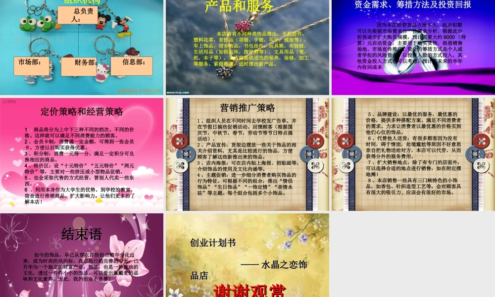 水晶饰品店创业策划书.ppt