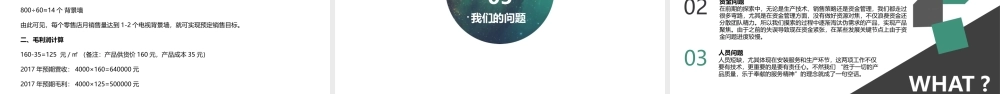 syb创业计划书.pptx
