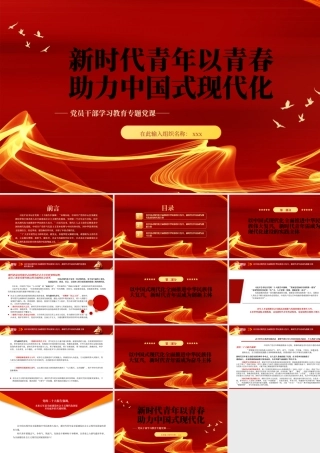 新时代青年以青春助力中国式现代化专题党课党建课件PPT模板.pptx