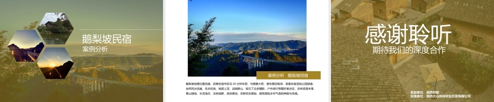 鹅梨民宿计划书.ppt