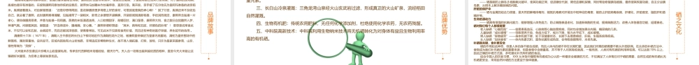 大米姐品牌营销策划案.ppt