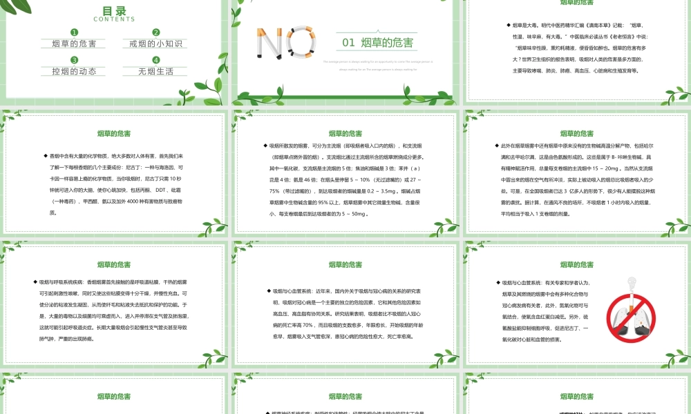 绿色简约控烟知识培训.pptx