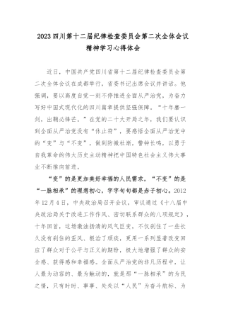 2023四川第十二届纪律检查委员会第二次全体会议精神学习心得体会.docx