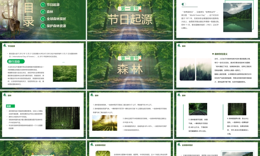 世界森林日PPT模板.pptx