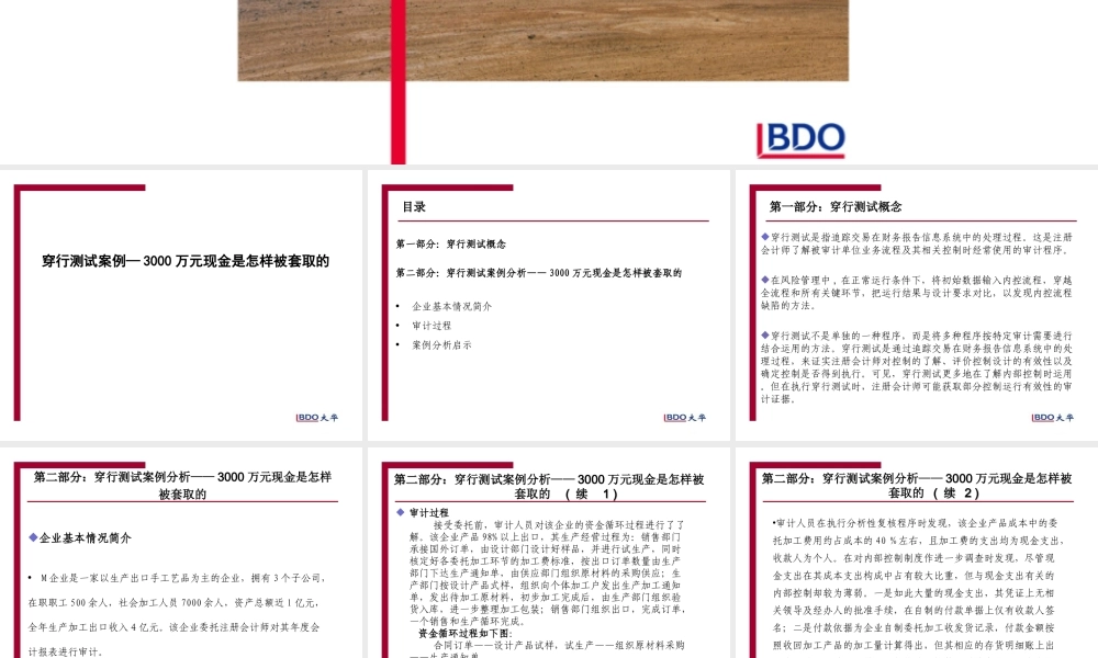 穿行测试案例—3000万元现金是怎样被套取的PPT.ppt