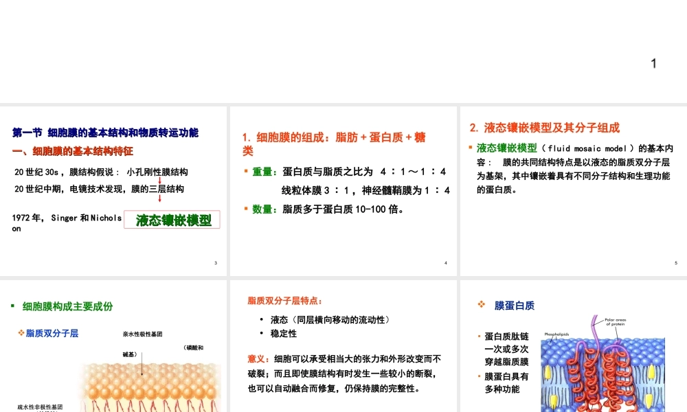 第二章 细胞的基本功能生物教学课件PPT.ppt