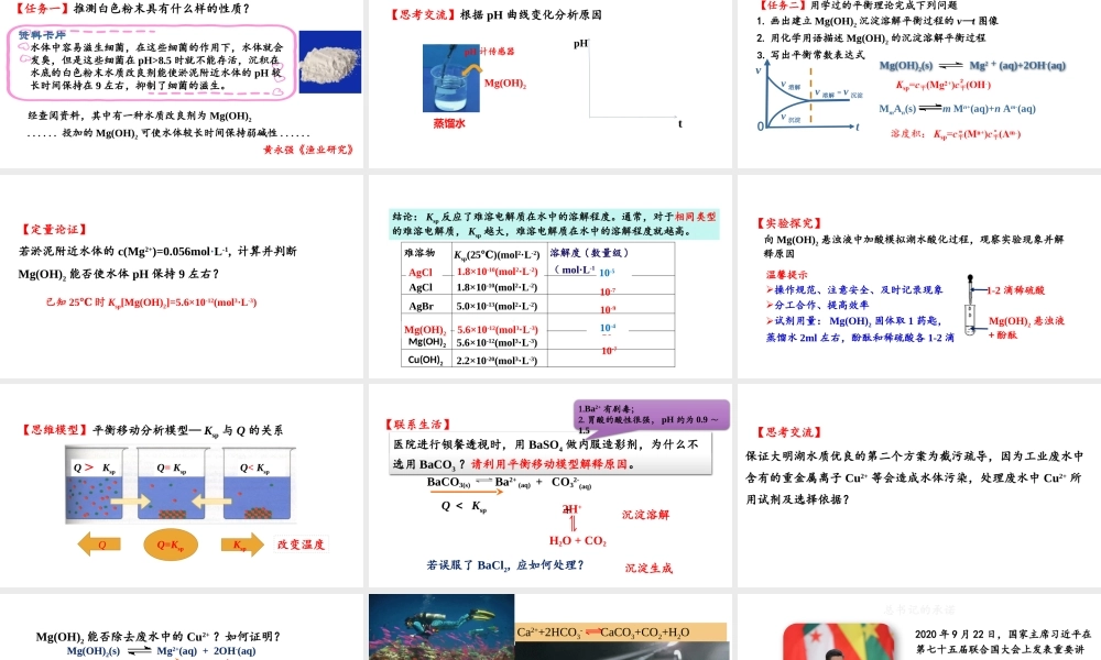 高中化学沉淀溶解平衡.pptx