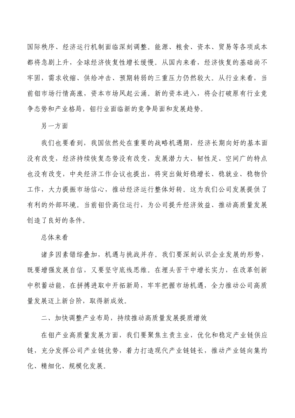 公司2023年总结强调要求.docx_第2页