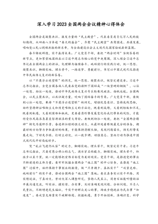 深入学习2023全国两会会议精神心得体会发言材料（10篇）.docx