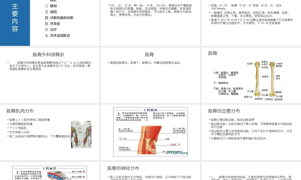 肱骨外科颈骨折.pptx