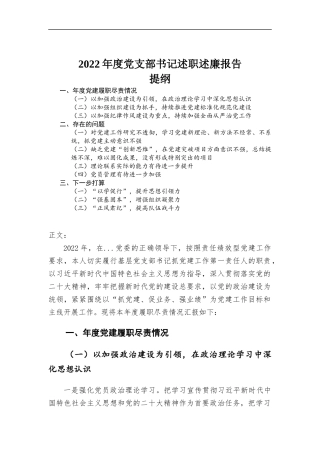 2022年度党支部书记述职述廉报告.docx