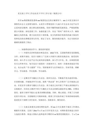 党支部上半年工作总结及下半年工作计划（集团公司）.docx