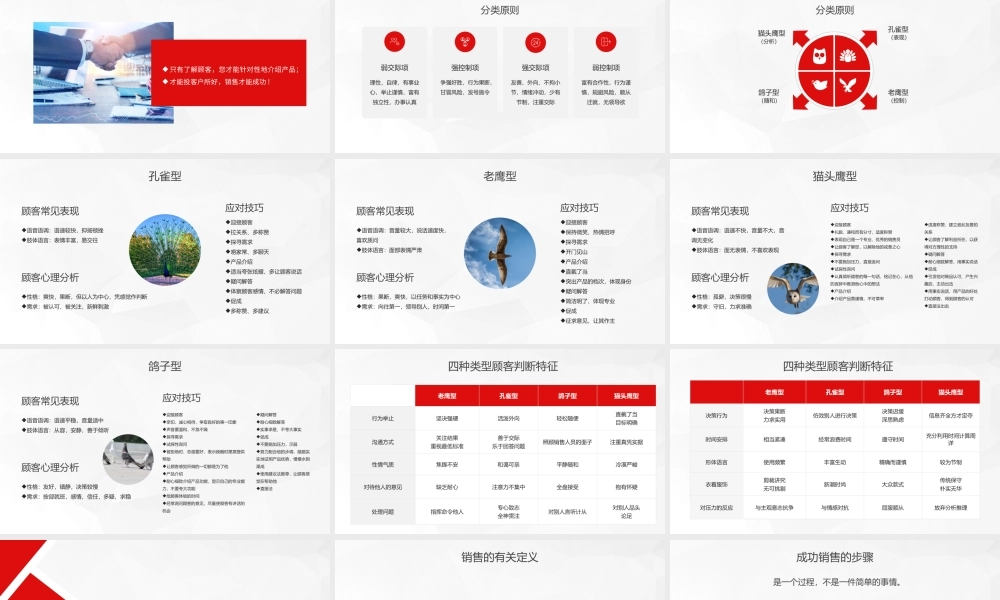 红色销售技巧客户的类型分析.pptx