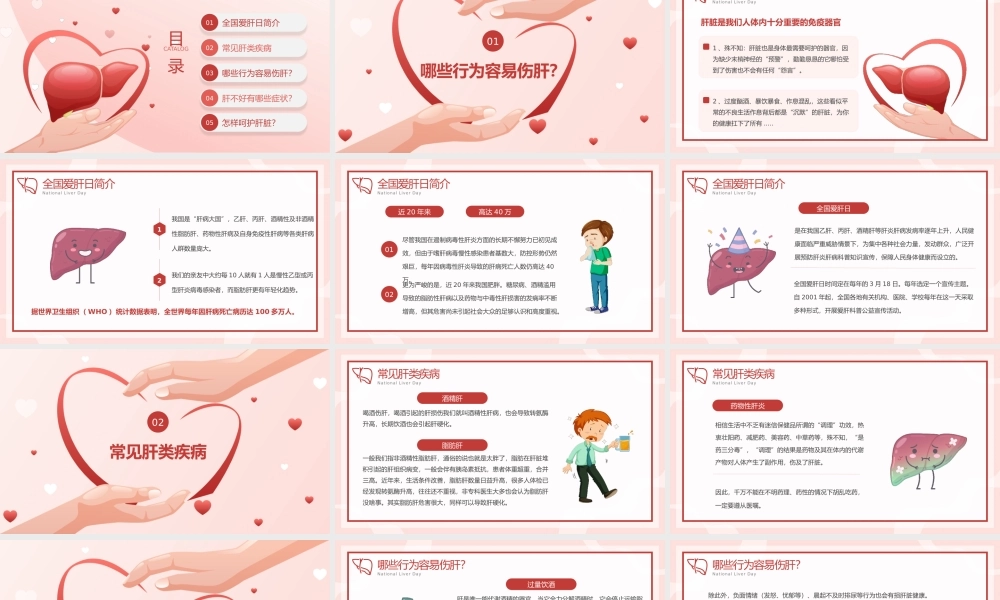 全国爱肝日介绍宣传PPT模板.pptx