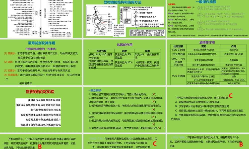 2023年高考生物经典实验复习讲座.pptx