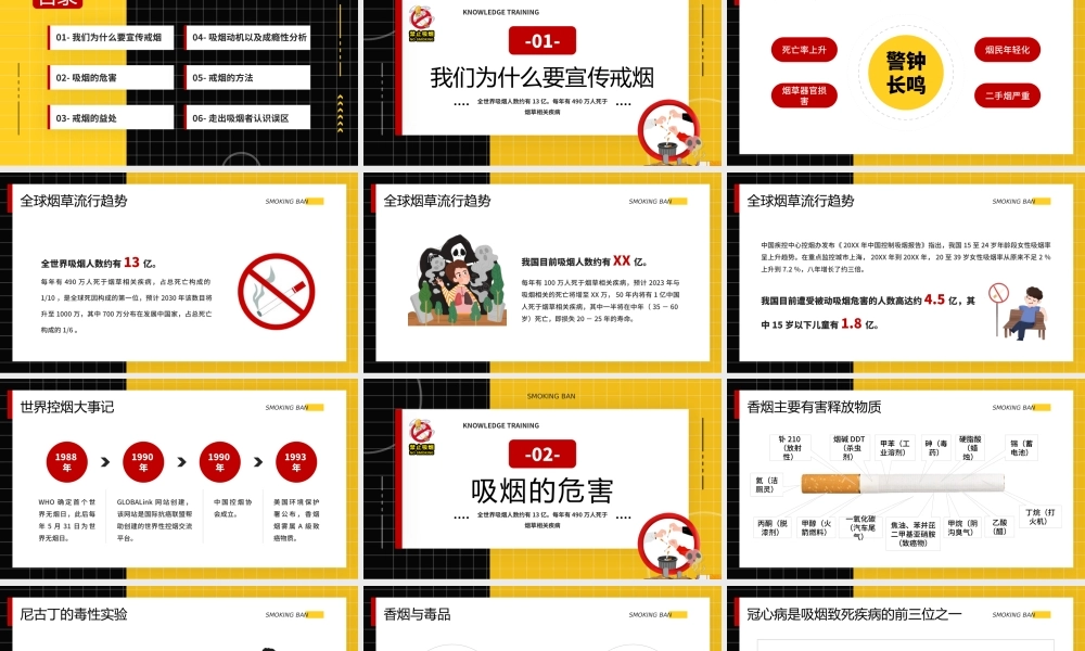 黄色卡通风控烟知识培训介绍.pptx